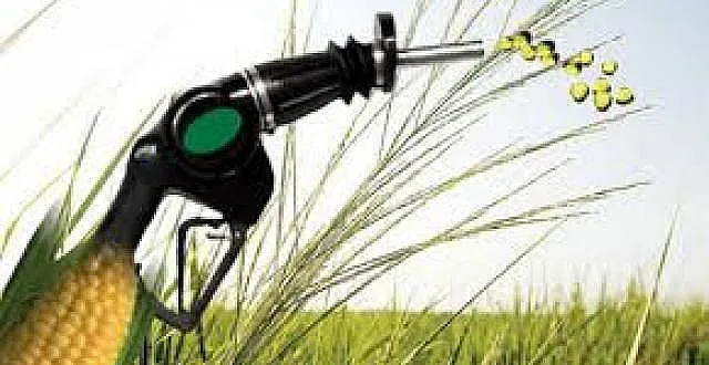 Биогоривата. Как сламата и кочаните бъркат в джоба ни