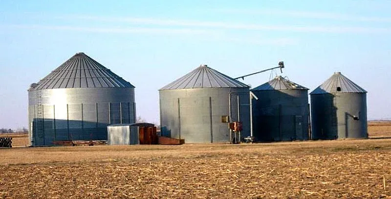 Еврокомисията се готви да пореже вноса на зърно. Условието