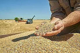 Полша и Унгария спряха вноса на украински продукти