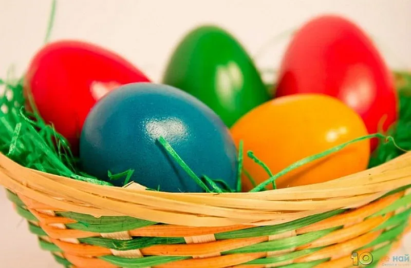 Шест любопитни факта за яйцата