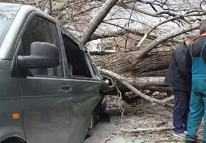 Ураган в София! Има ли щети