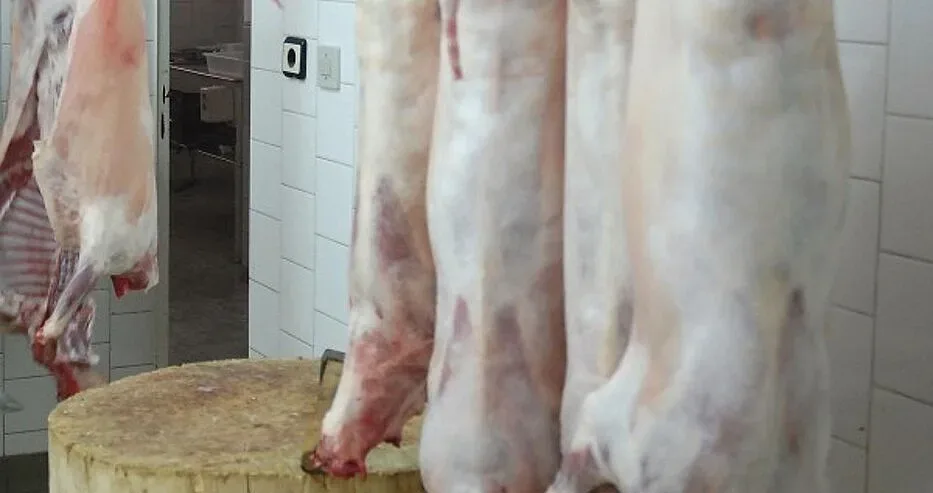 Бой за агнешко по 9 лева! Къде е чудото