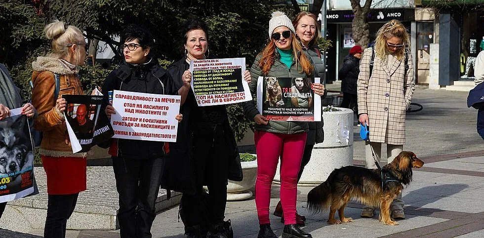 Протест срещу насилието събра стопани и любители на животните