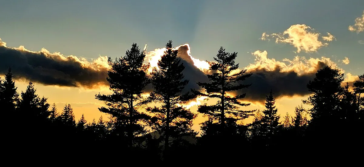 Новолуние в Овен. Три зодии ликуват