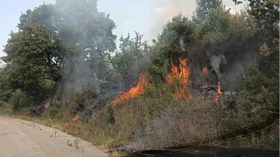 Овладяха пожара край Белоградчик. Първи подробности