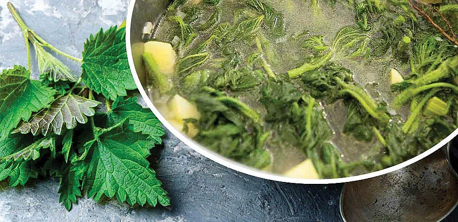 Пролетна супа с коприва за Великите пости