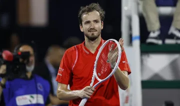 Мечката няма милост. Отстрани и Джокович