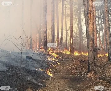 Нов ужас! Нещо страшно става в района над Хисаря