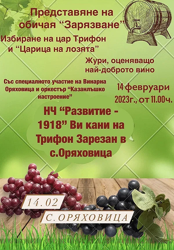 В село Оряховица канят на Трифон Зарезан