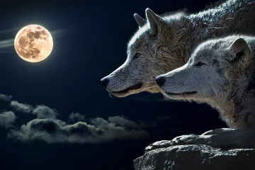 Днес е най-лошият ден. Какво не трябва да правим?