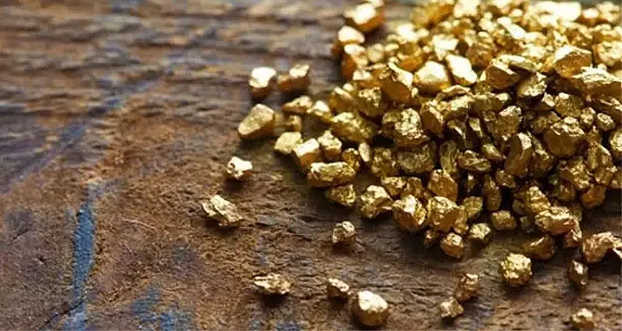 Чудо на 90 км от Видин. Златна мина