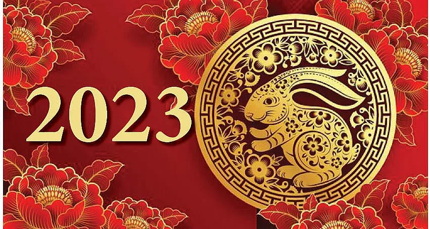 10 мита за годината на Заека