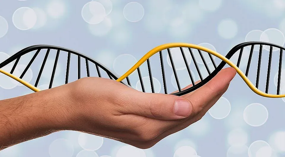 Учени шокираха! Къде се крие щастието на хората