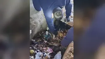 Шокиращо! Мъж с увреждания престоя дни в шахта