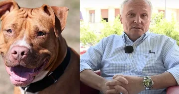 Ужас! Как два звяра убиха сръбски журналист