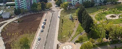 В Стара Загора осигуряват отново терен за засаждане на коледни елхи