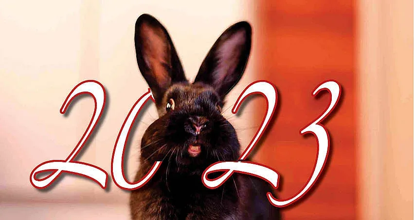 Годината на Заека ни връща отнетото