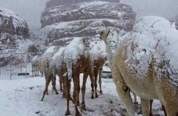 Времето напълно полудя. Необичайни явления