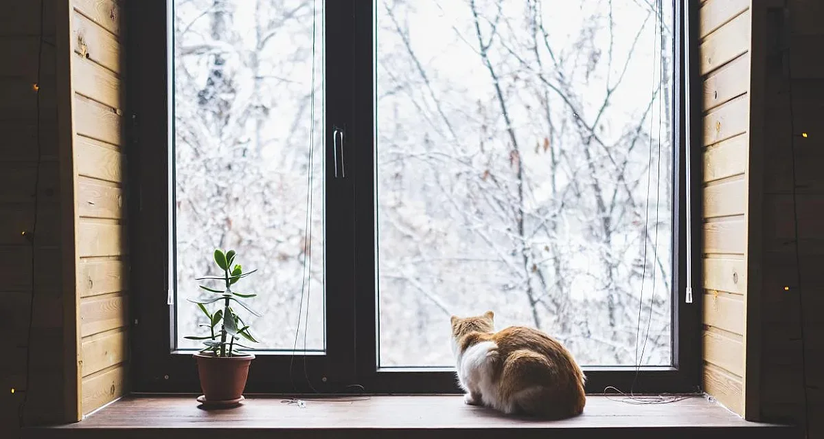 Подарък от времето. Термометрите ни изненадват