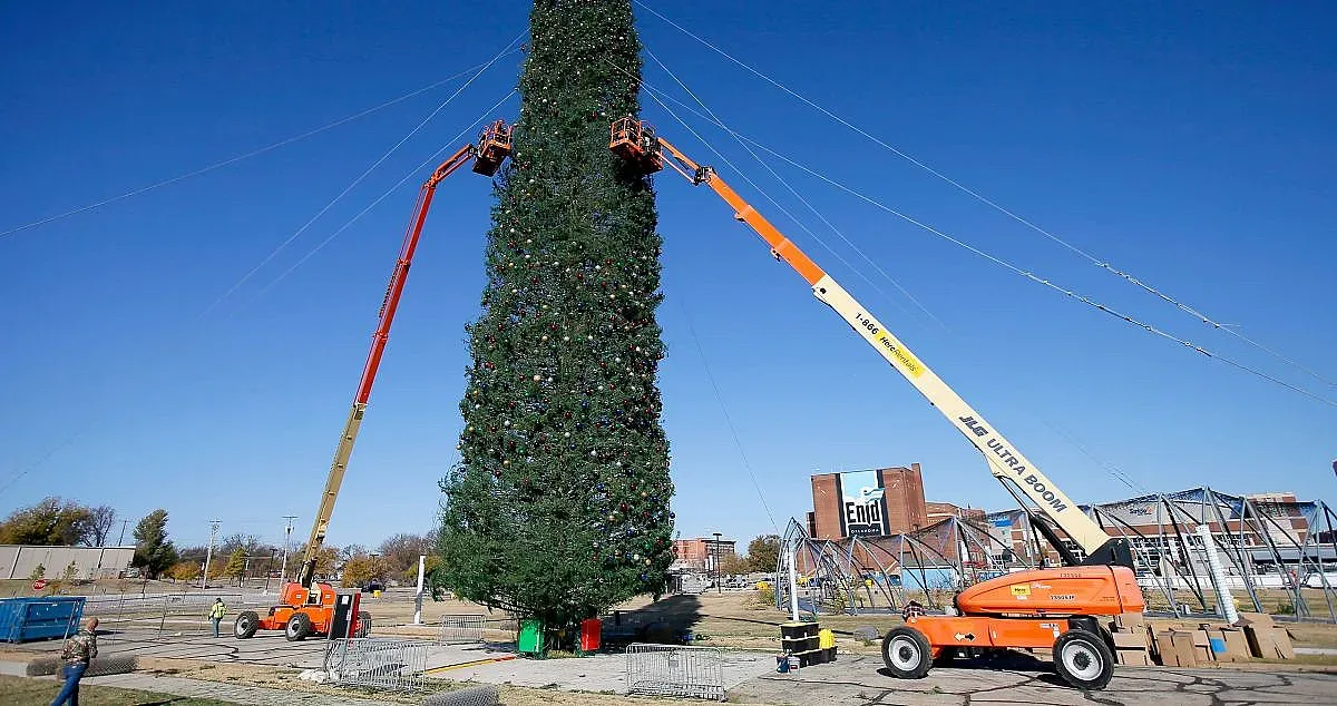 Кое е най-високо дръвче и други рекорди на Гинес за коледната елха