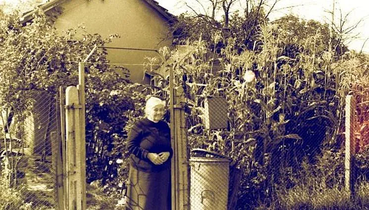 Съдбовни думи! Легендарна пророчица предрекла ще има ли правителство