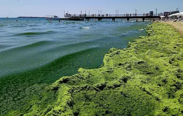 Уникални снимки от морето събраха очите на хората