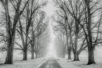Синоптиците ни поздравяват. Извадиха снежната прогноза