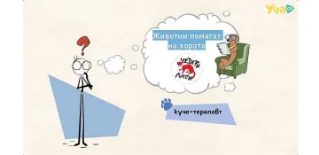 Как животните могат да помагат на хората и какво е куче терапевт?