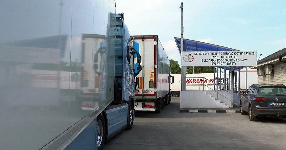 Проблем за плодовете и зеленчуците от Турция, търговци се оплакват