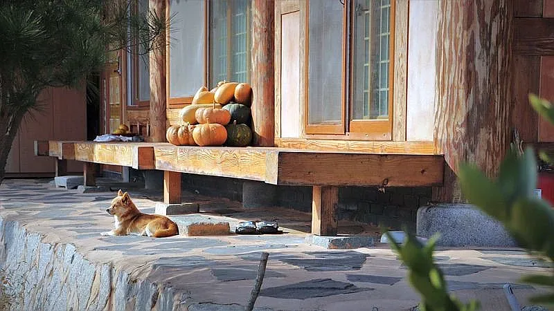 Синоптиците се разболяха. Кихнаха прогноза за края на ноември