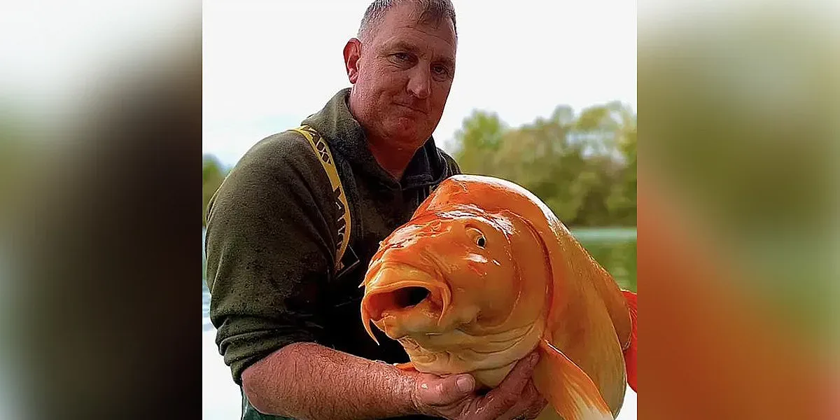 Рибар събра очите на колегите, хвана огромна златна рибка (СНИМКИ)