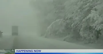 Ужас и загинали в Ню Йорк! Какво става