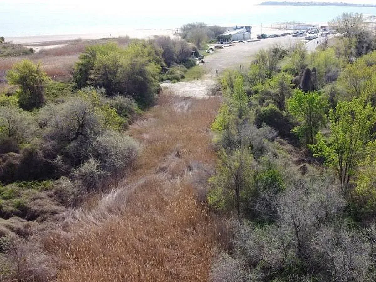 Кумецът на Румен Овчаров го закъса. ЧСИ продава три от имотите му