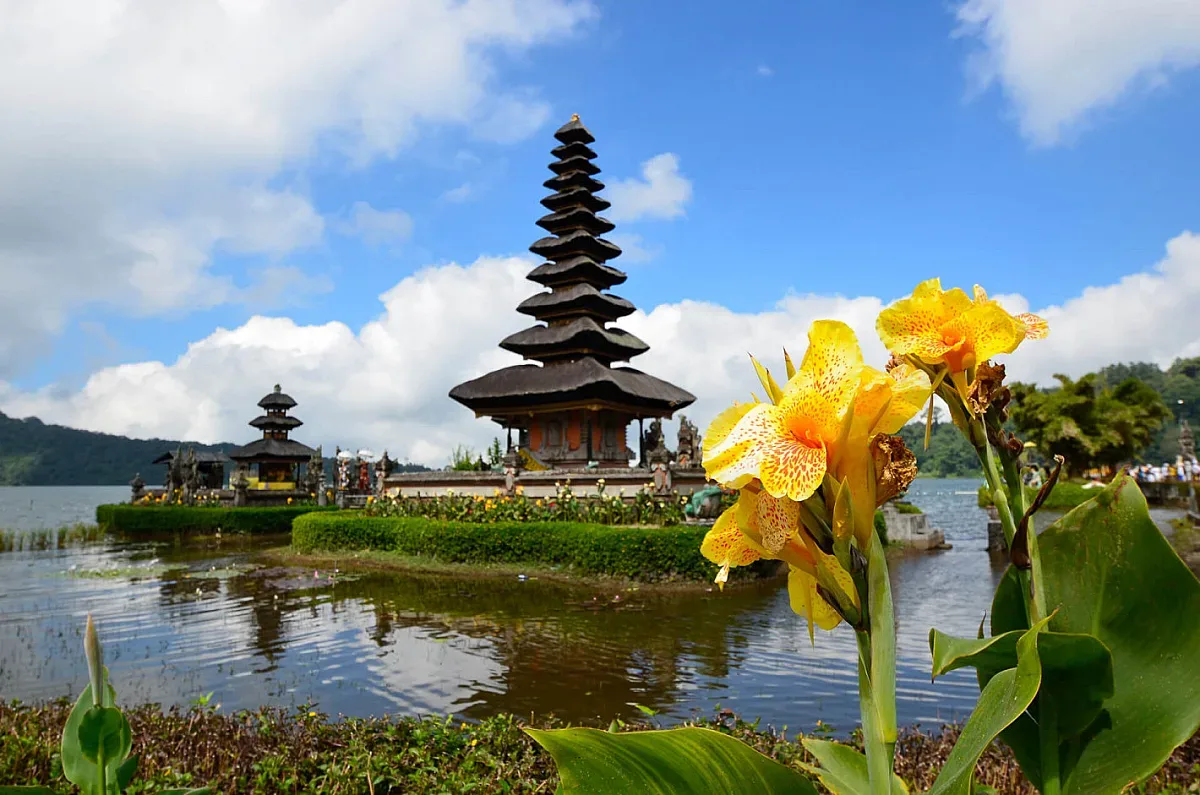 Неженени туристи в Бали може сериозно да пострадат. Какво им готвят