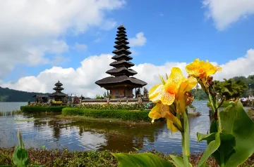 Неженени туристи в Бали може сериозно да пострадат. Какво им готвят