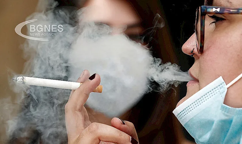 Балансиран ръст на акциза на тютюневите изделия. Календар на цените