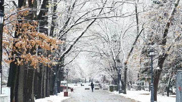 Първи сняг и много катастрофи, има загинали