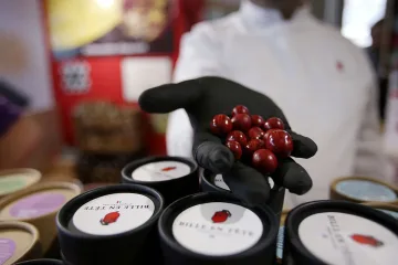 Куриозен шоколад събра погледите на изложение в Париж