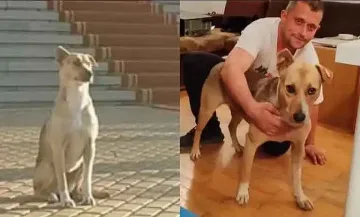 Кучето депутат си намери дом