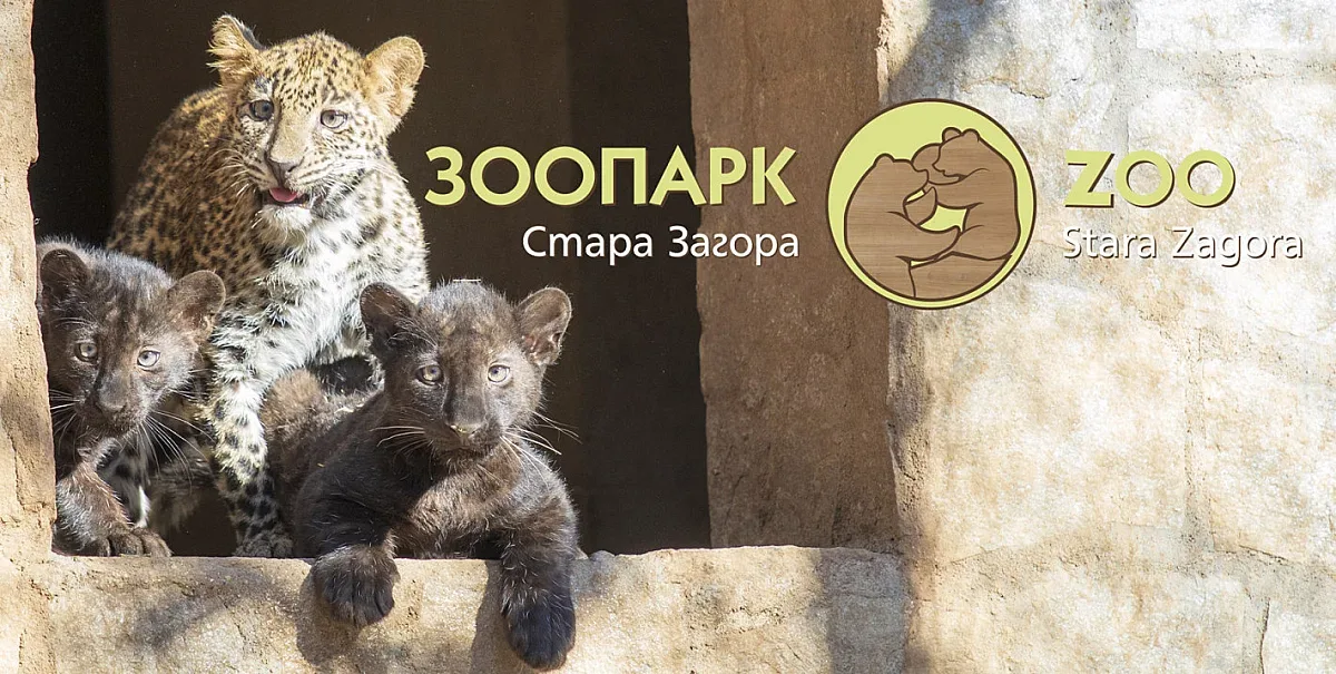 Търси се кръстник на новите обитатели на Зоопарка в Стара Загора