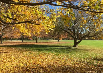 Тъжен ден за синоптиците. Как ще преживеят новата прогноза за времето
