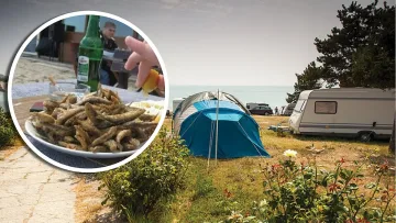 По джоба ни ли са цените по морето