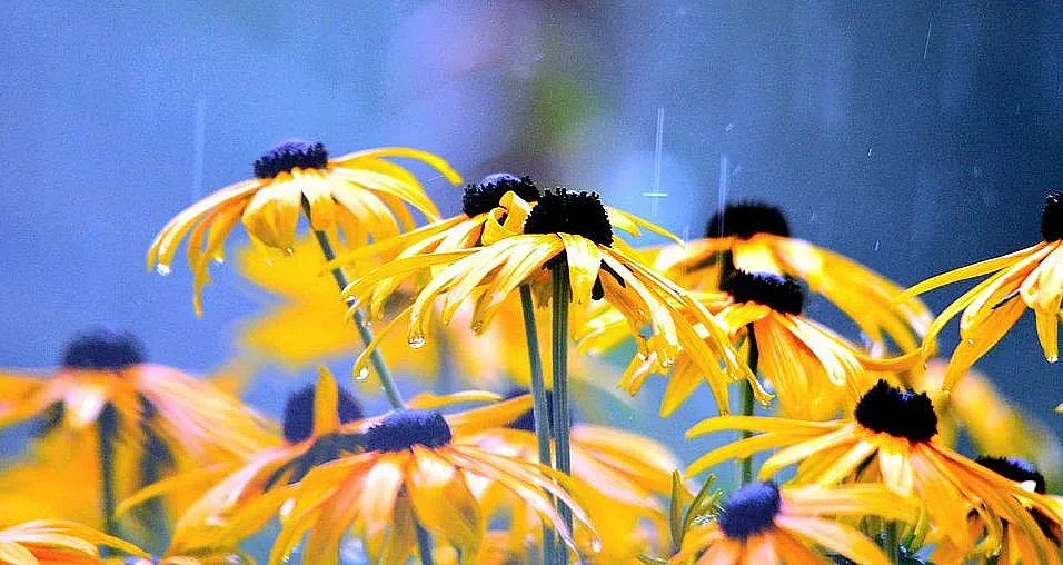 Синоптиците дават банкет. Разбраха кога ще се затопли времето