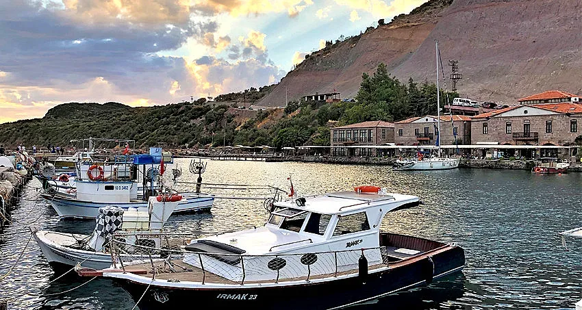 Асос на Аристотел ухае на бабини билки