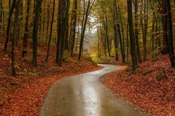 Септември 2022 - динамично, а понякога и опасно време