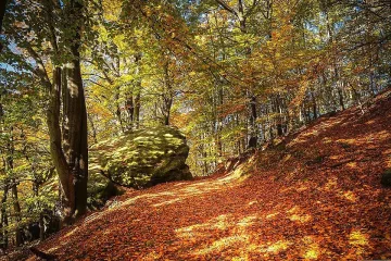 Синоптиците се разчувстваха. Ще плаче ли небето в идните дни?