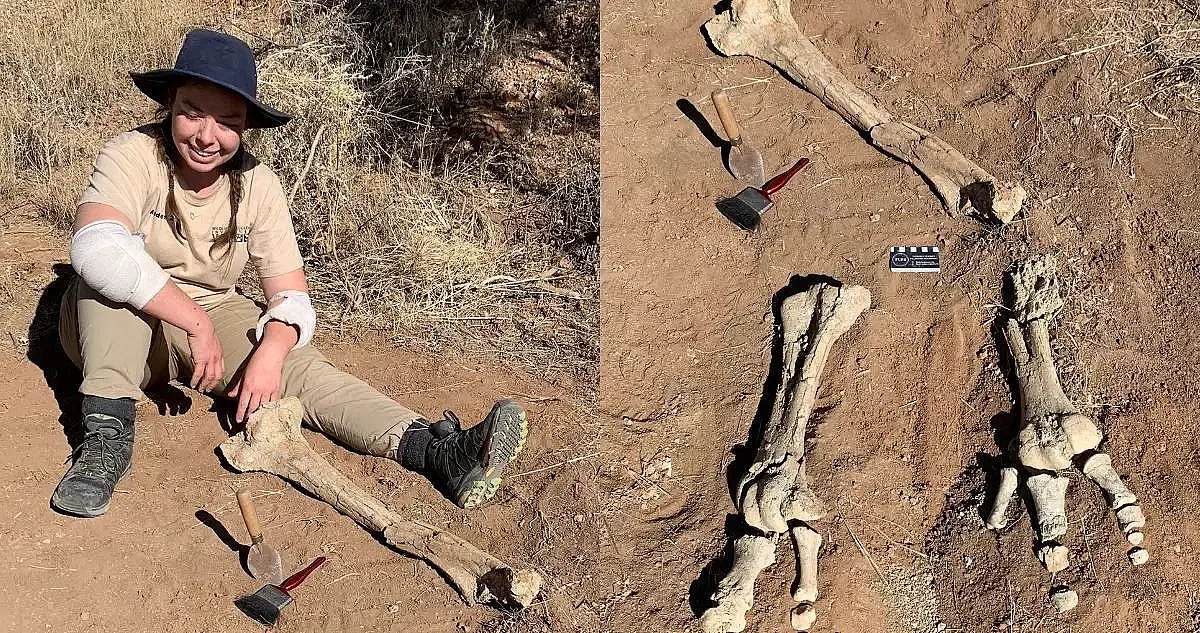 Намериха останки от страховито крилато чудовище