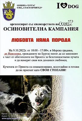 Ако си търсите домашен любимец, може да го откриете тази неделя в Морската градина