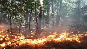 Пламна пожар в сърцето на София
