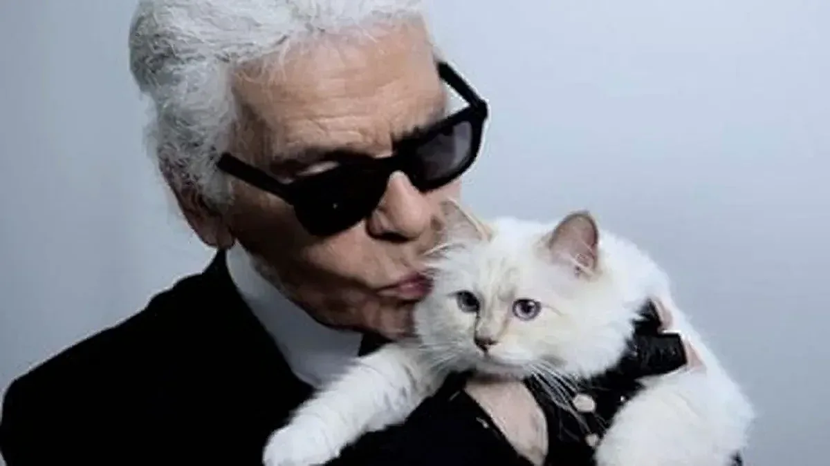 Изненада! Котката на Лагерфелд си намери работа, неочаквана роля